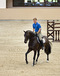 ultime_espoir_v._chellano_z_at_the_wiemselbach_with_rider_denis_huser